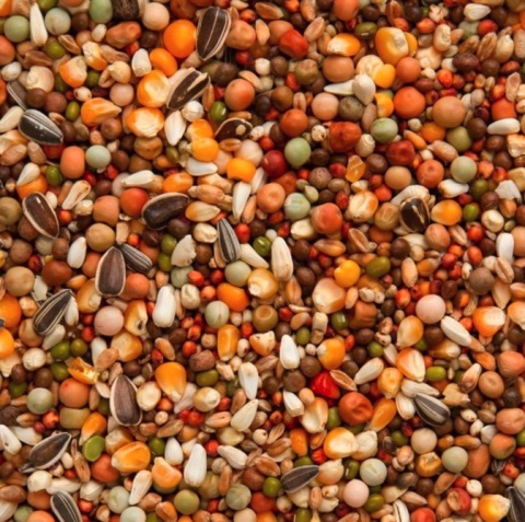 BEYERS OLYMPIA 47 – Breeding & Racing Special Rozpłodowo - Lotowa 25 kg