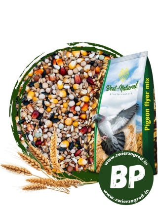 Best Natural Bez Pszenicy BP– 20kg – naturalna mieszanka dla gołębi przez cały rok