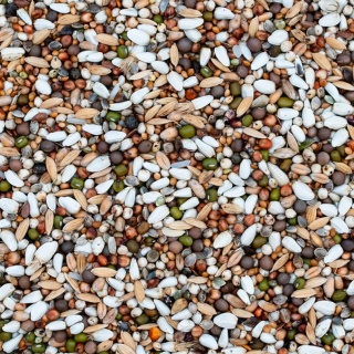 Best Natural – Dieta Aktiv Pro DAP karma dla gołębi pocztowych 20 kg