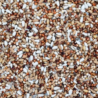 Best Natural – Dieta Specjal D karma dla gołębi pocztowych 20 kg