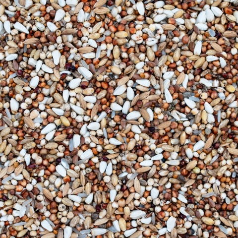 Best Natural – Dieta Specjal D karma dla gołębi pocztowych 20 kg