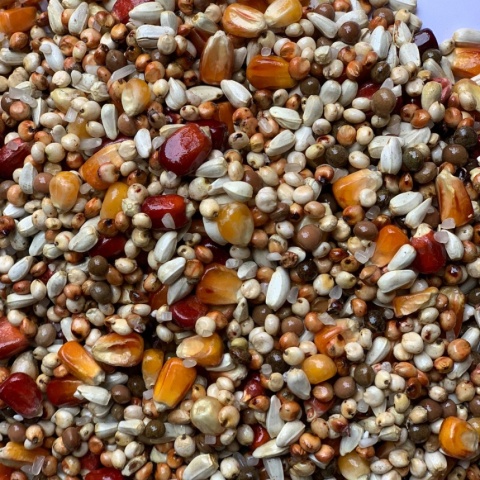 Best Natural – Lotowa dla Młodych karma dla gołębi pocztowych 20 kg