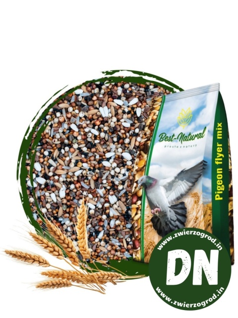Best Natural Drobne Nasionka Oleiste DN 1kg – naturalna mieszanka dla gołębi pocztowych i dzikich ptaków