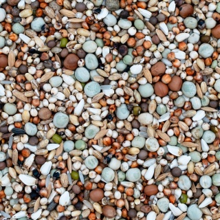 Best Natural KE – Bez Pszenicy | karma dla Gołębi Krótkodziobych 20kg