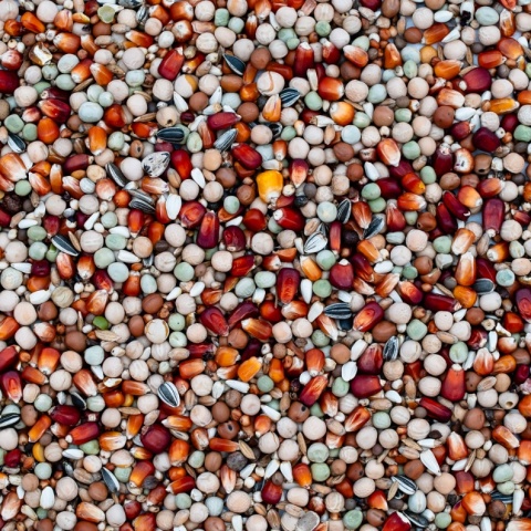 Best Natural – RE – Rozpłodowa Extra – karma dla gołębi pocztowych 20 kg