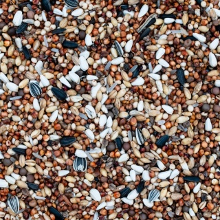 Best Natural– K – karma dla Gołębi Krótkodziobych 20 kg