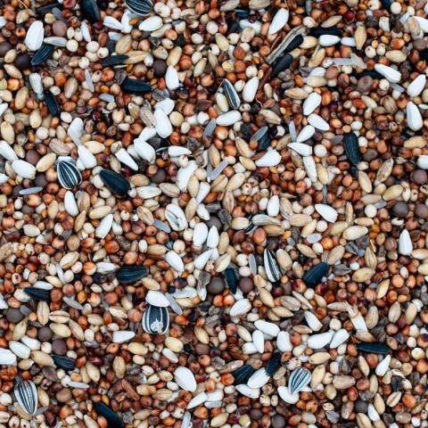 Best Natural– K – karma dla Gołębi Krótkodziobych 20 kg