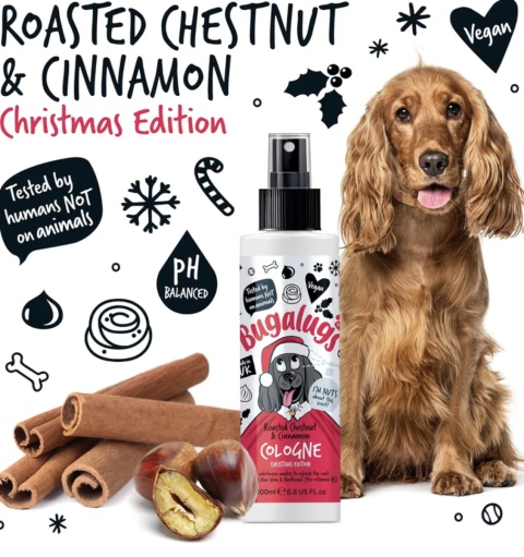 Bugalugs Roasted Chestnut & Cinnamon Christmas Edition - perfumowany spray dla psa, o zapachu pieczonych kasztanów z cynamonem
