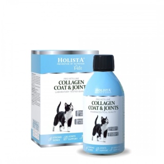 Holista Collagen Cats Coat & Joints 100 ml Syrop kolagenowy dla kotów – stawy, ruch i piękna sierść