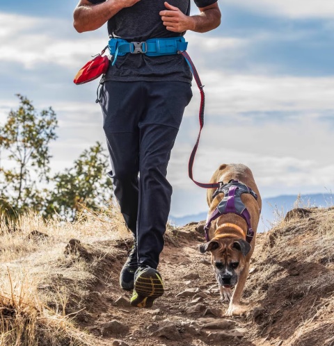 Kurgo RSG Active Belt - pas do biegania z psem, niebieski