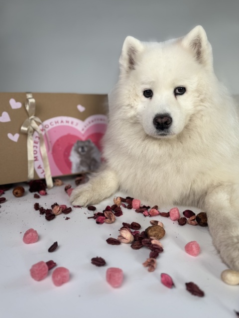 Kitty Love Box - walentynkowy box pełen miłości