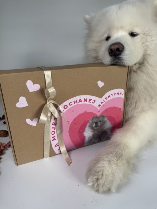 Aston Love Box - walentynkowy box pełen miłości