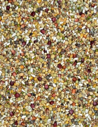 MDM PME-R ROZPŁODOWA OPTIMUM – mieszanka lęgowa dla gołębi 25 kg