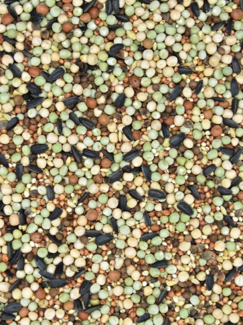 MDM SKY RACE EUROPE® BASE SRB – Mieszanka Bazowa dla gołębi pocztowych (Bez Kukurydzy i Pszenicy) 25 kg