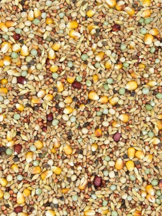 MDM SKY RACE EUROPE DAILY SRU – Mieszanka dla gołębi pocztowych Uniwersalna 25 kg