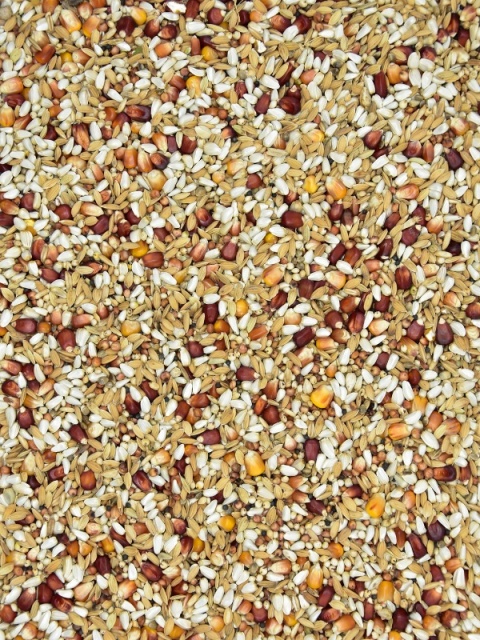 MDM SKY RACE EUROPE FLIGHT SRF – Mieszanka dla gołębi pocztowych Lotowa 25 kg