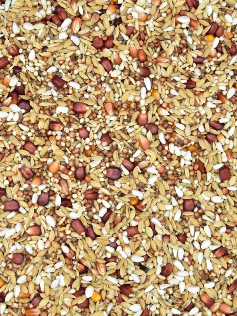 MDM SKY RACE EUROPE LIGHT SRL – Mieszanka dla gołębi pocztowych LekkoStrawna (Lotowa Baza) 25 kg