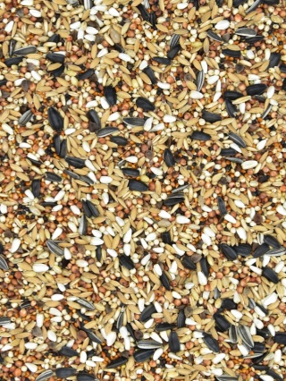 MDM SKY RACE EUROPE MICRO SRD – Mieszanka dla gołębi pocztowych Drobne Nasiona 25 kg