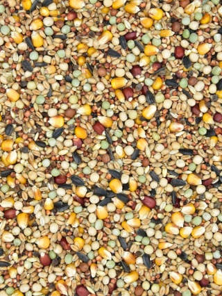 MDM SKY RACE EUROPE MOULT SRP – Mieszanka dla gołębi pocztowych Pierzeniowa 25 kg