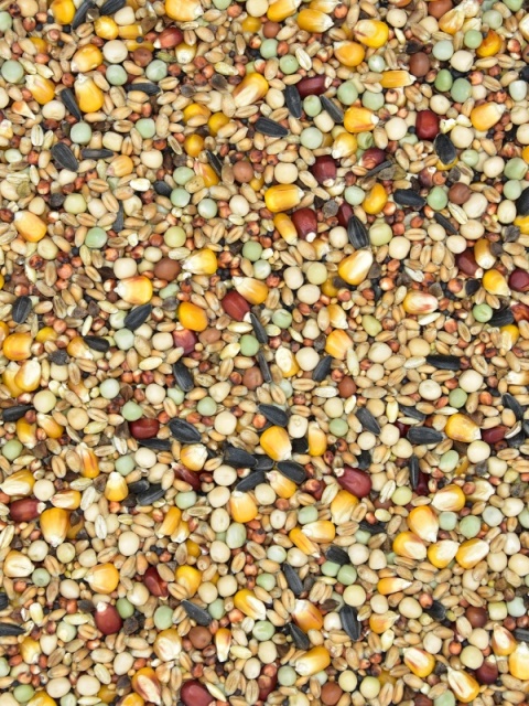 MDM SKY RACE EUROPE MOULT SRP – Mieszanka dla gołębi pocztowych Pierzeniowa 25 kg