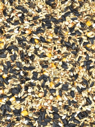 MDM SKY RACE EUROPE WINTER SRZ – Mieszanka dla gołebi pocztowych Zimowa z Czarnym Słonecznikiem