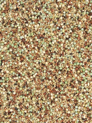 MDM SKY RACE EUROPE® YOUNG SRM– Mieszanka dla gołębi pocztowych Wychów Młodych