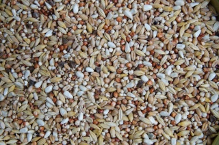 Mrowca D – Dietetyczna | Lekka mieszanka dietetyczna dla gołębi 20 kg