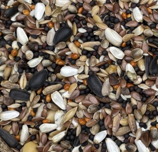 Podyma NASIONA OLEISTE – mieszanka tłuszczowo-energetyczna dla gołębi | 25 kg