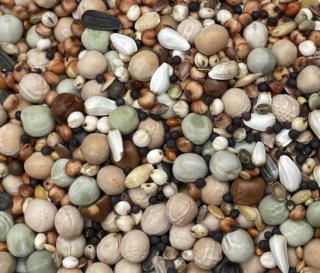 Podyma BEZ PSZENICY I KUKURYDZY EXTRA PROTEIN – mieszanka wysokobiałkowa dla gołębi | 25 kg