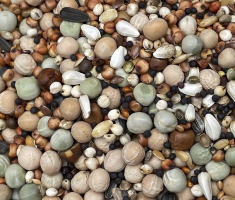 Podyma BEZ PSZENICY I KUKURYDZY EXTRA PROTEIN – mieszanka wysokobiałkowa dla gołębi | 25 kg