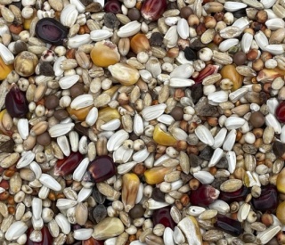 Podyma LOTOWA F1 – mieszanka lotowa dla gołębi | 25 kg