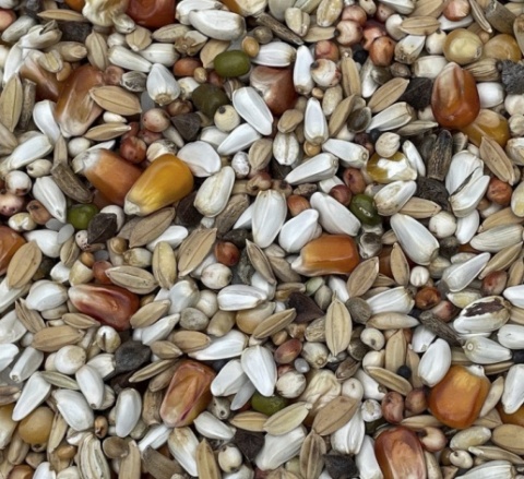 Podyma LEKKOSTRAWNA – mieszanka paszowa lekkostrawna dla gołębi | 25 kg