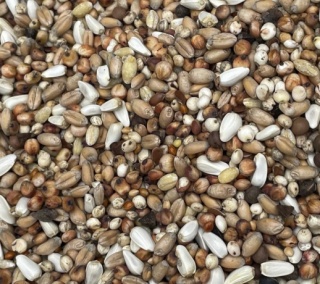 Podyma DIETETYCZNA – mieszanka paszowa lekkostrawna dla gołębi | 25 kg