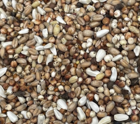 Podyma DIETETYCZNA – mieszanka paszowa lekkostrawna dla gołębi | 25 kg