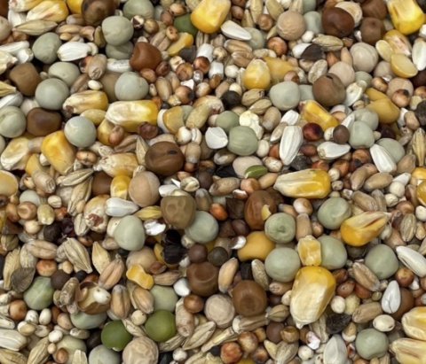 Podyma ROZPŁODOWA PLUS – mieszanka paszowa rozpłodowa dla gołębi | 25 kg