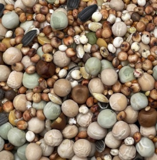 Podyma BEZ PSZENICY I KUKURYDZY – wysokobiałkowa mieszanka dla gołębi | 25 kg