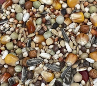 Podyma ROZPŁODOWO-LOTOWA PLUS – mieszanka paszowa dla gołębi | 25 kg