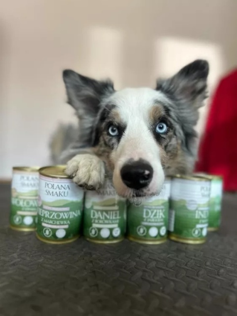 Polana Smaku – Szczeniak – Indyk z borówkami 400 g