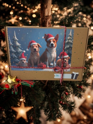 Prezentownik Świąteczny r. L dla Psiaka