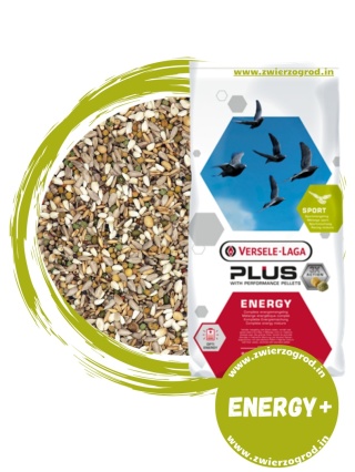 VERSELE-LAGA Energy Plus – Karma energetyczna dla gołębi pocztowych 18 kg