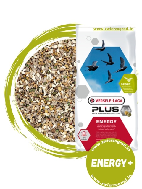 VERSELE-LAGA Energy Plus – Karma energetyczna dla gołębi pocztowych 18 kg