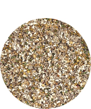 VERSELE-LAGA Energy Plus – Karma energetyczna dla gołębi pocztowych 18 kg