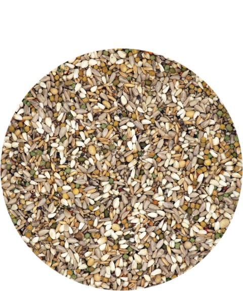 VERSELE-LAGA Energy Plus – Karma energetyczna dla gołębi pocztowych 18 kg