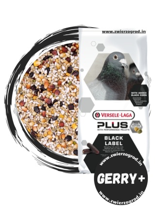🕊️ VERSELE-LAGA Gerry Plus Black Label – Karma lotowa o obniżonej zawartości białka z czarną kukurydzą | Linia Black Label 20kg
