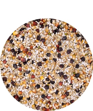 🕊️ VERSELE-LAGA Gerry Plus Black Label – Karma lotowa o obniżonej zawartości białka z czarną kukurydzą | Linia Black Label 20kg