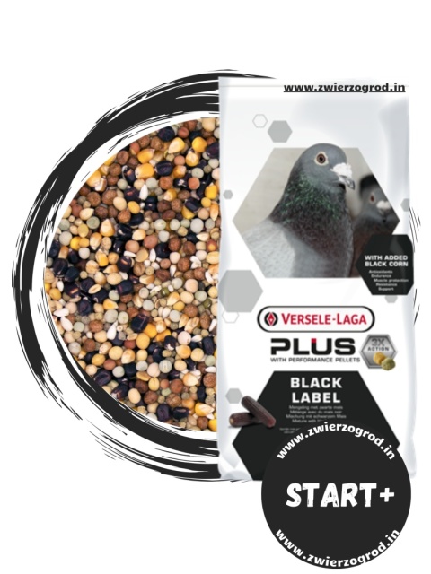 VERSELE-LAGA Start Plus Black Label – Karma rozpłodowa z czarną kukurydzą | Linia Black Label 20 kg