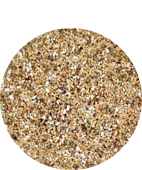 VERSELE-LAGA Depure Plus – Karma dietetyczna / oczyszczająca dla gołębi pocztowych 20 kg