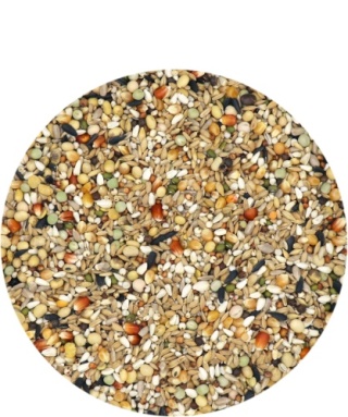 VERSELE LAGA Hirn Mixture – Faza 2| Karma lotowa dla wdowców | 20 kg