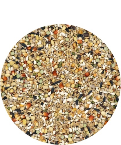 VERSELE LAGA Hirn Mixture – Faza 2| Karma lotowa dla wdowców | 20 kg