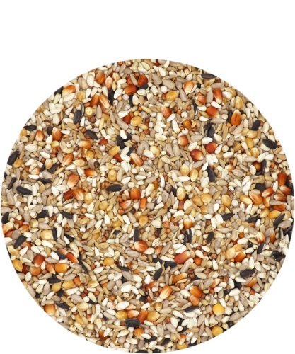 VERSELE LAGA Hirn Mixture – Faza 3| Karma lotowa dla wdowców | 20 kg